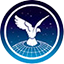 Royal Aeronautical Society (RAeS) logo