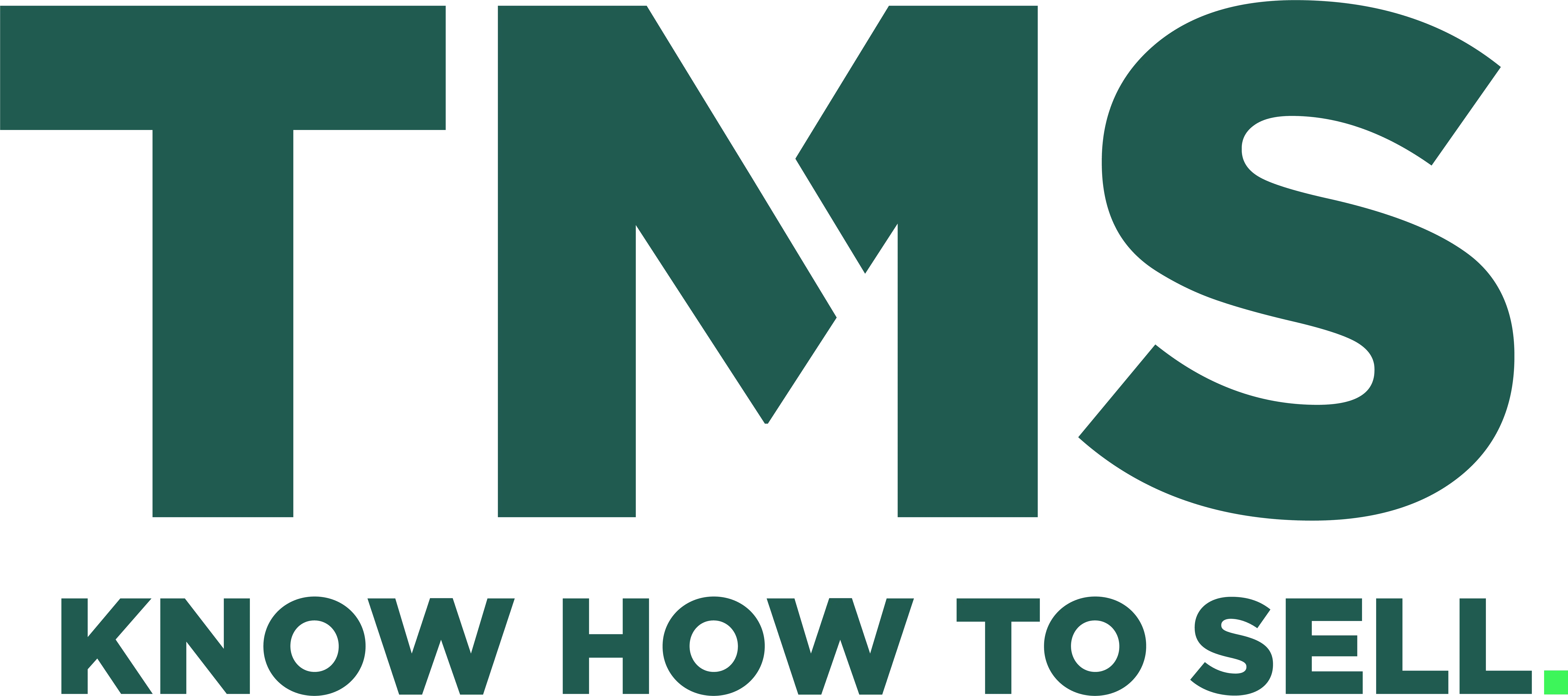 TMS GmbH logo