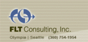 FLT Consulting