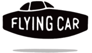 Flying Car