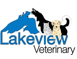 Lakeview Veterinary Hospital