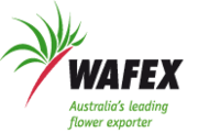 WAFEX