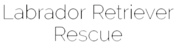 Labrador Retriever Rescue, Inc.