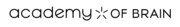 Academy of Brain logo