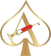 Ace of Spades Aesthetics
