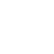 Air Force Association’s CyberPatriot logo