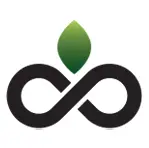 All Spring Media logo