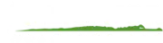 Alligator Holdings logo