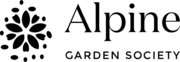 Case Study