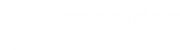 American Edge Knives logo
