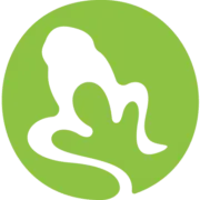 Amphibian Stage