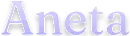 Aneta logo