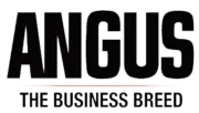 Angus Media logo