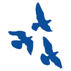 Avian Enterprises