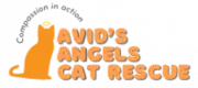 Avid’s Angels Cat Rescue