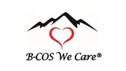 B-cos