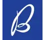 Badiani logo