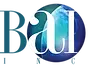 BAI Federal logo