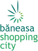BANEASA Developments SRL logo