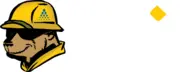 Bear Valley Electric Service logo