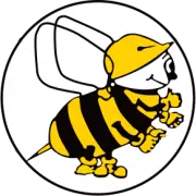 Beesley & Fildes logo