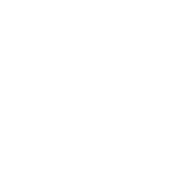Berwicks logo