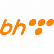 BH Telecom’s Rural Wireless logo