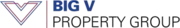 Big V Property Group logo