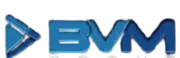 BigVoice Media Group logo