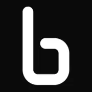 Binarly logo