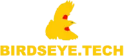 Birdseye Technical Services Inc logo