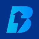 Bizzi logo