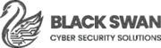 Black Swan Cyber Security Solutions