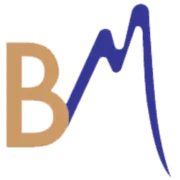 Blue Mountain Home Buyers logo