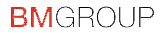 BM Group logo
