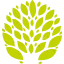 Bond Timber logo