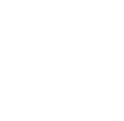 Bouldin Acres logo