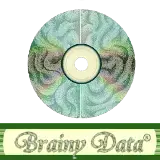 Brainy Data logo