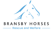 Bransby Horses