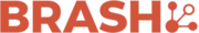 Brash Solutions logo