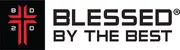 Brian Dawkins logo