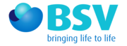BSV Group logo