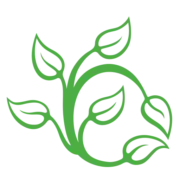 Buffalo Olmsted Parks Conservancy (bopc) logo