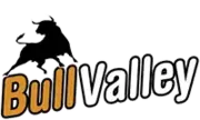 Bull Valley Ford logo