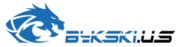 Bykski US logo