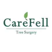 CareFell logo