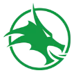 Celtic Dragons logo