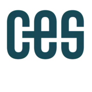 CES Consultants logo