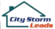 City Storm Leads logo