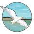 Coastal Corridor Alliance logo